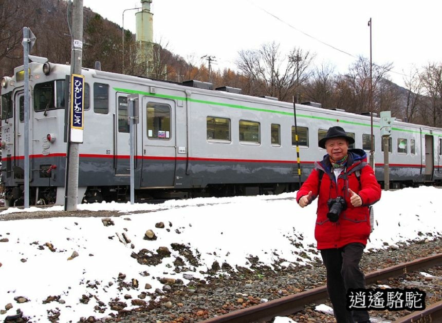 東鹿越車站-日本駱駝