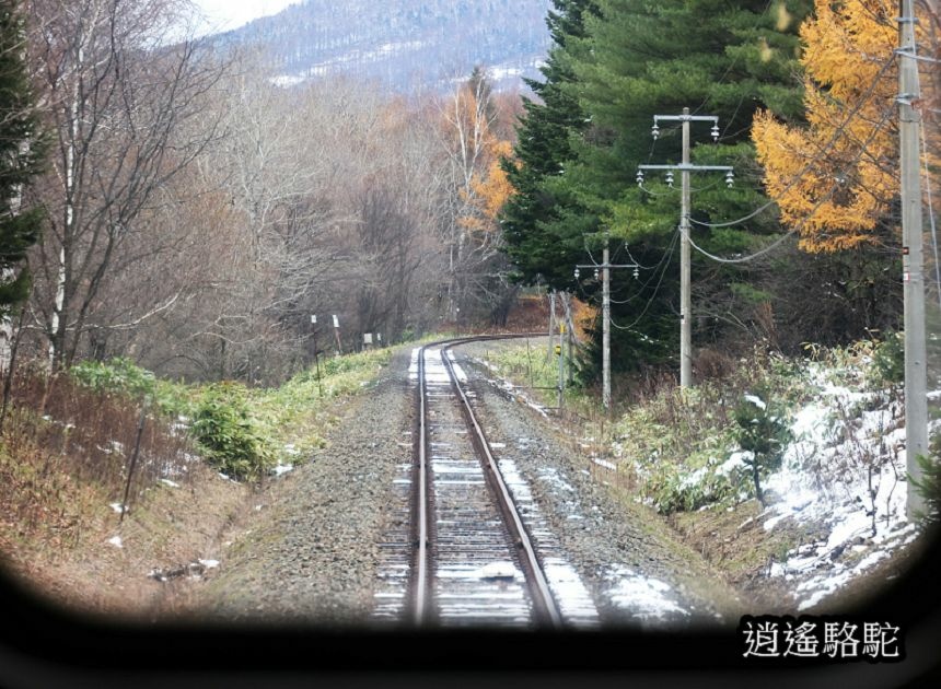 東鹿越車站-日本駱駝