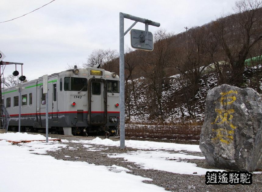 東鹿越車站-日本駱駝