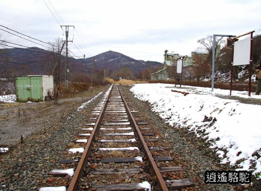 東鹿越車站-日本駱駝