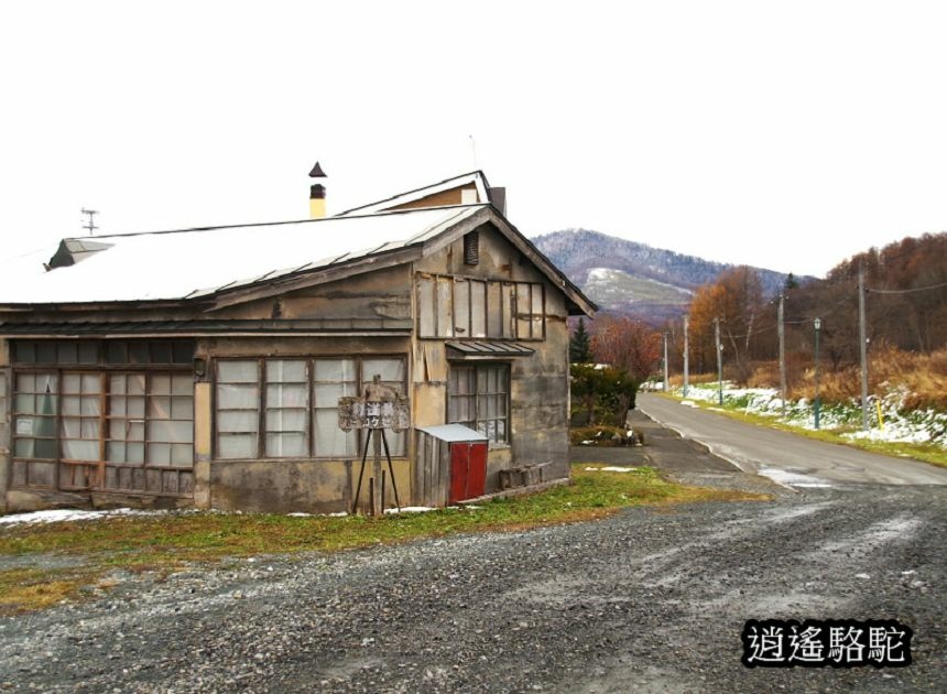 幾寅車站-日本駱駝