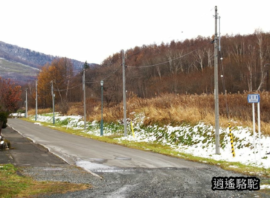 幾寅車站-日本駱駝