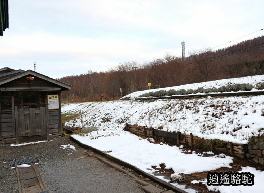 幌舞站(鐵道員)-日本駱駝