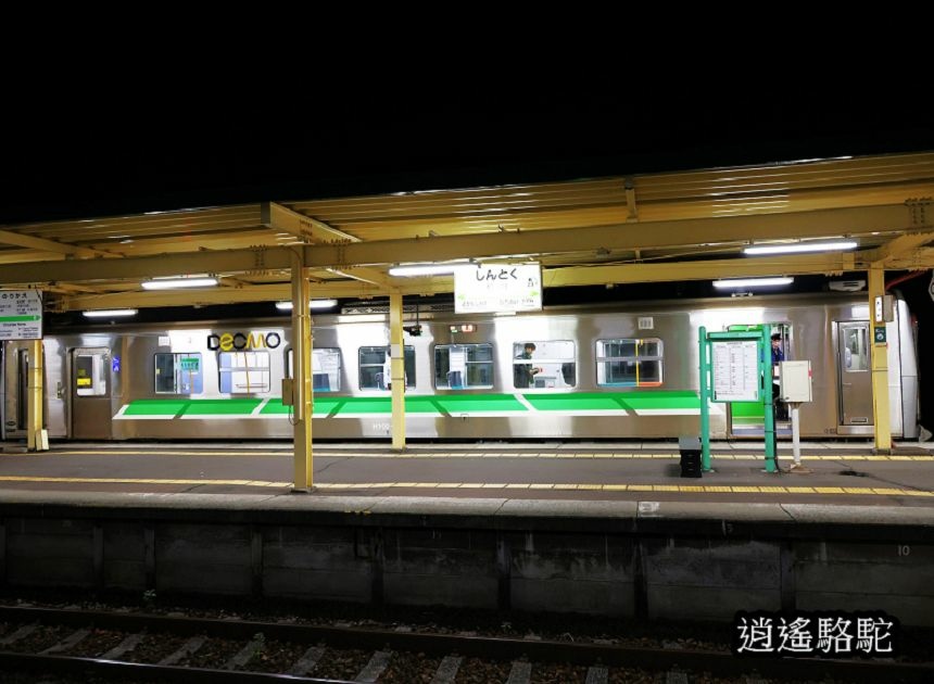 新得車站-日本駱駝
