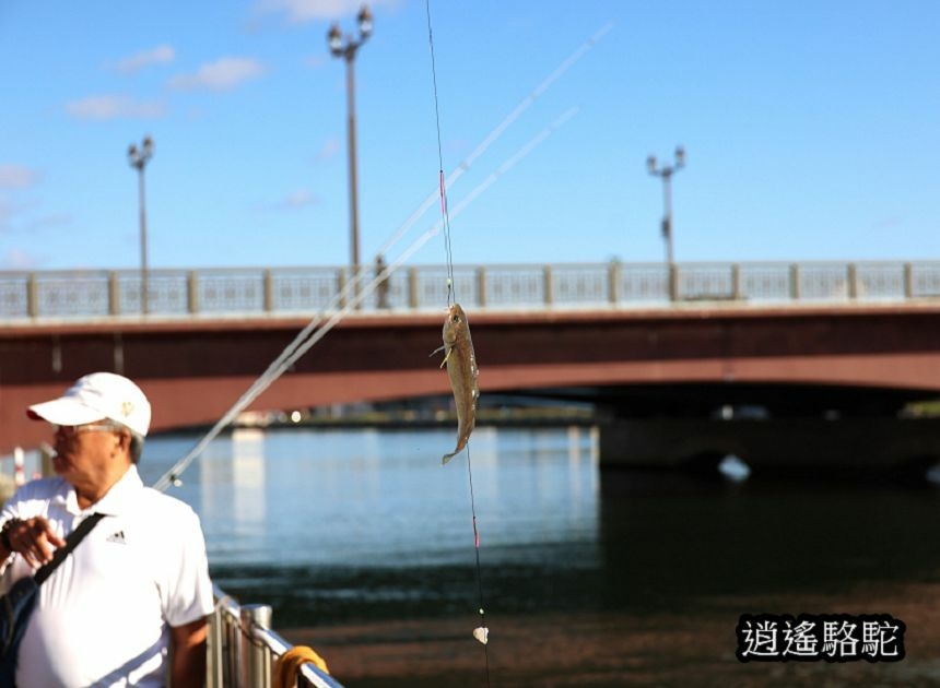 釧路川幣舞橋-日本駱駝