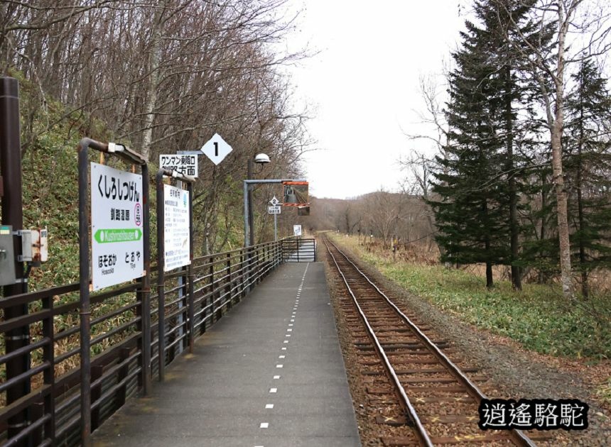 釧路溼原車站-日本駱駝