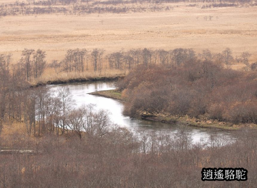 細岡展望台-日本駱駝