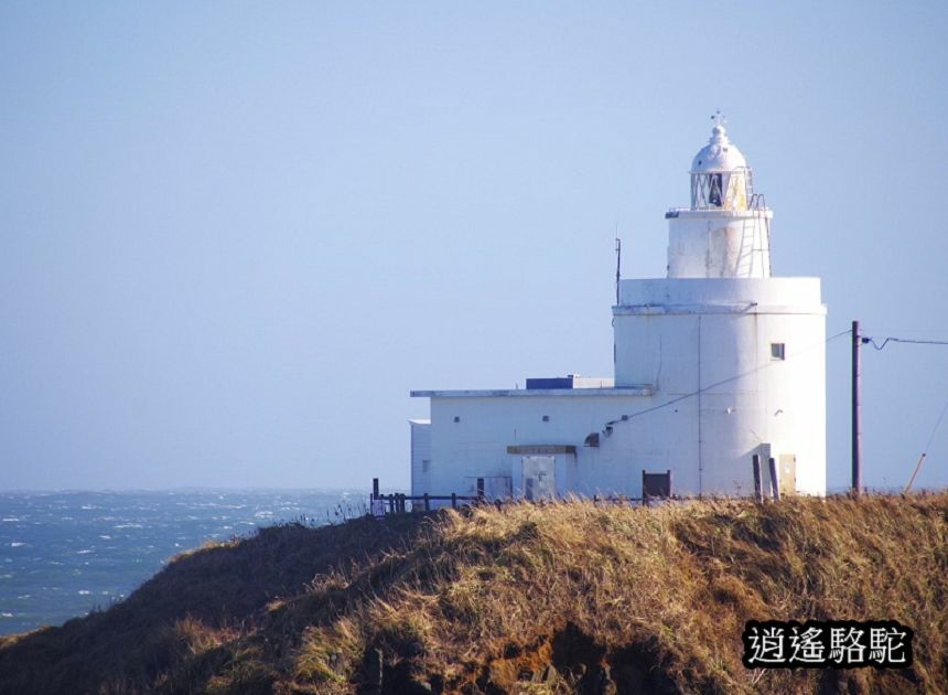 納沙布岬燈塔-日本駱駝