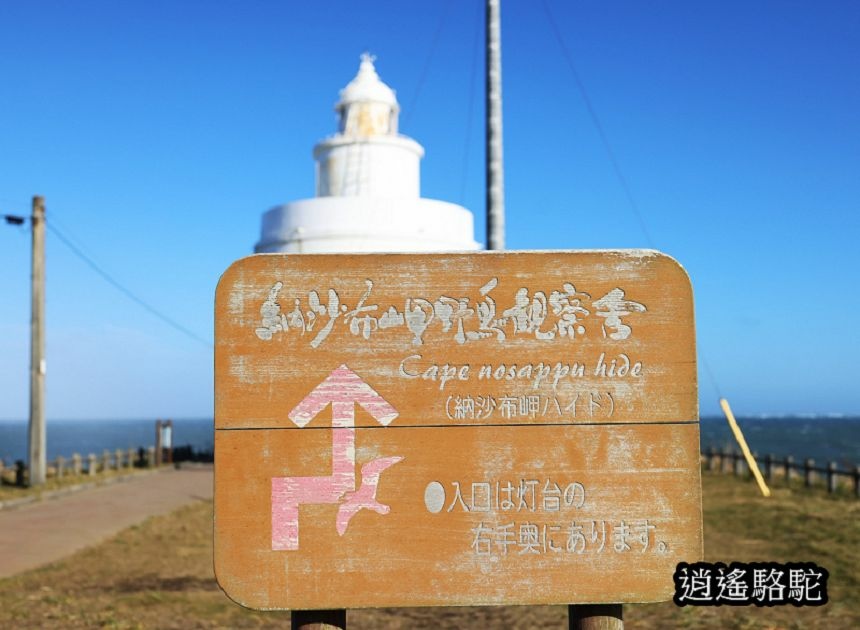 納沙布岬燈塔-日本駱駝