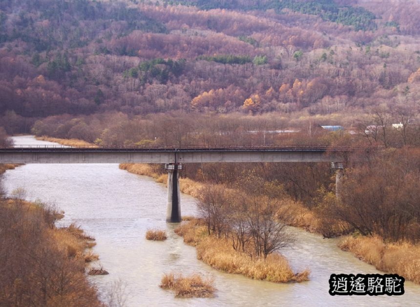 釧路→新千歲機場-日本駱駝