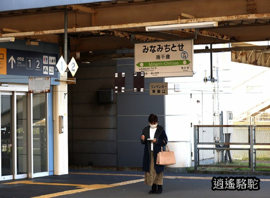 釧路→新千歲機場-日本駱駝