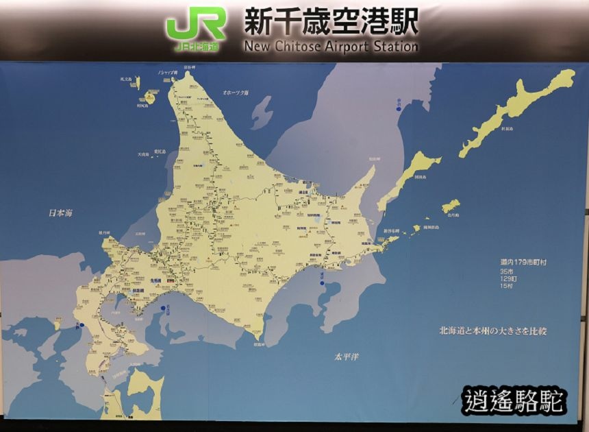 釧路→新千歲機場-日本駱駝