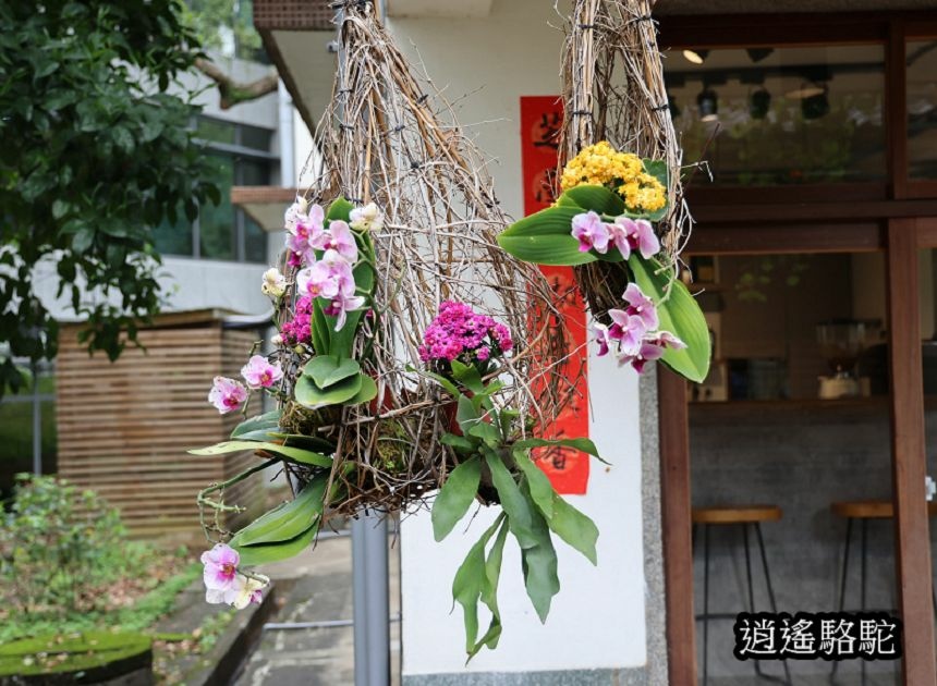 好窩有花咖啡館-桃園駱駝