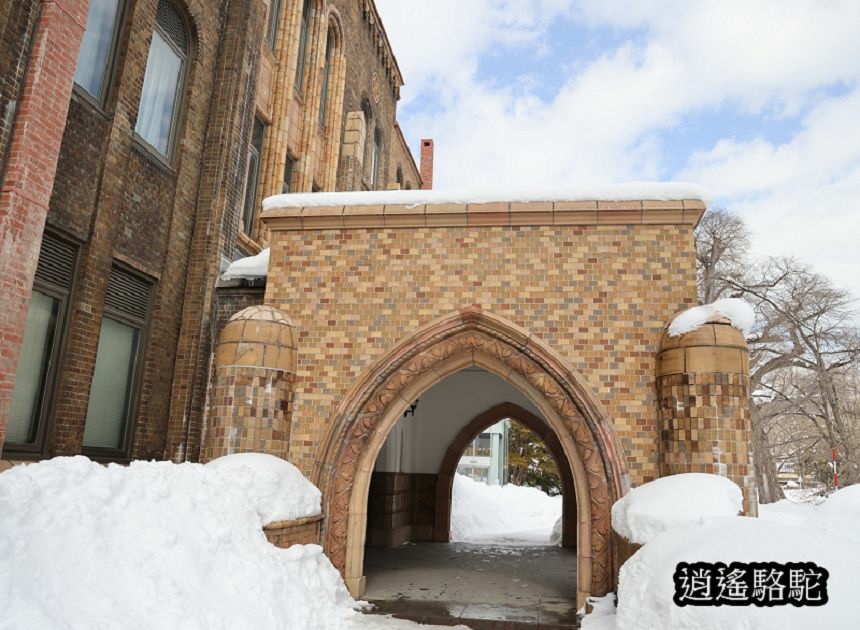 北海道大學三月天-日本駱駝