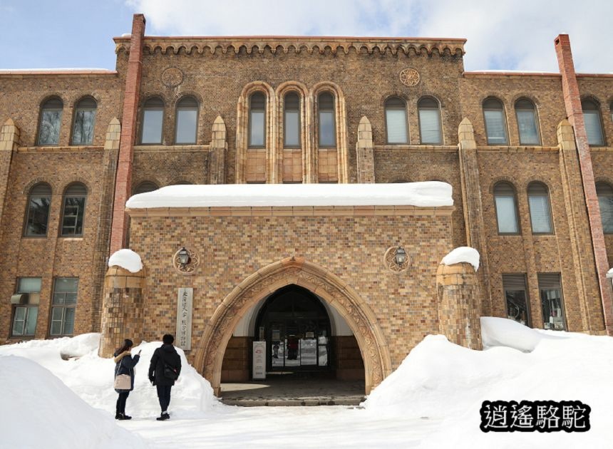 北海道大學三月天-日本駱駝