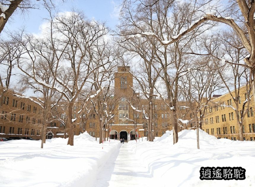 北海道大學三月天-日本駱駝