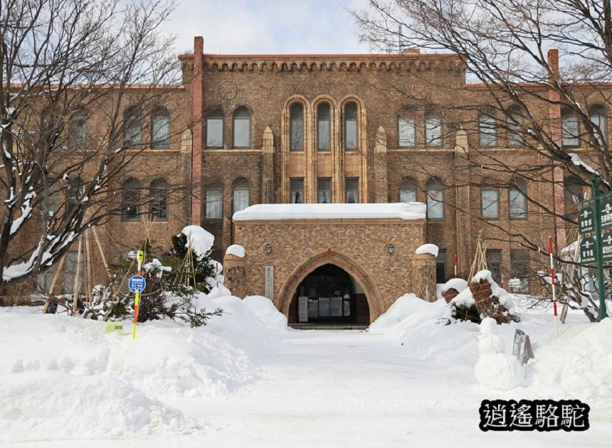 北海道大學三月天-日本駱駝