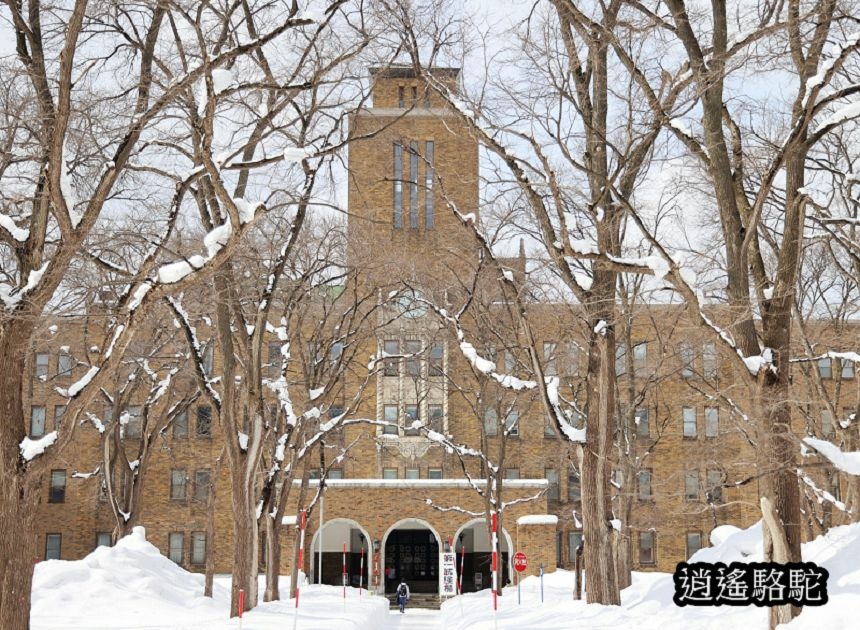 北海道大學三月天-日本駱駝