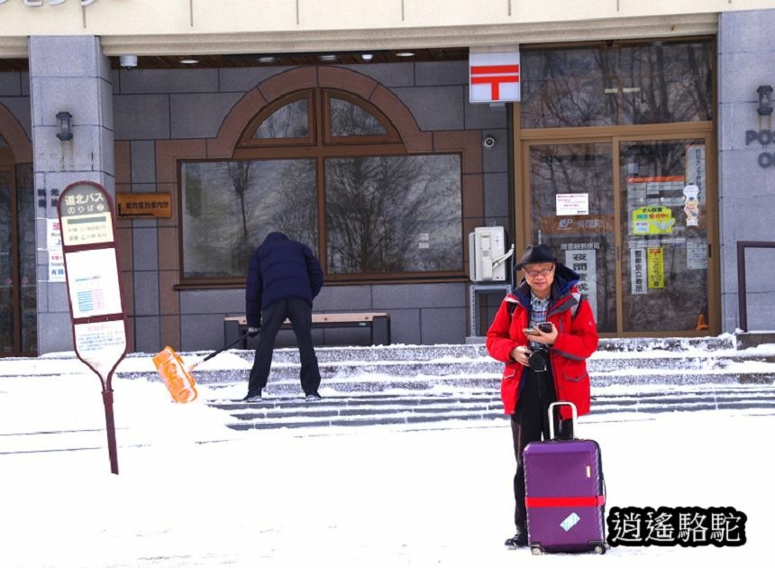 層雲峽巴士轉運中心-日本駱駝