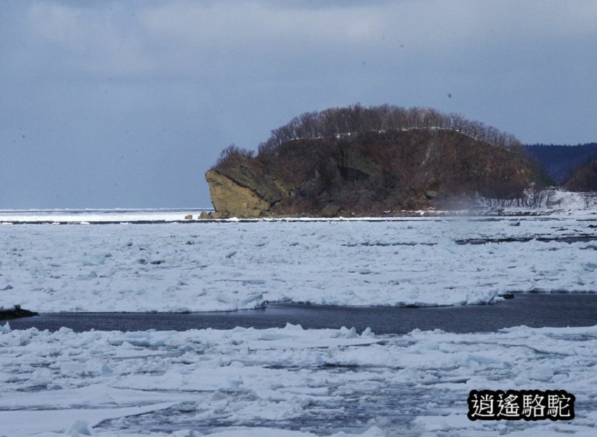 斜里→宇登呂-日本駱駝