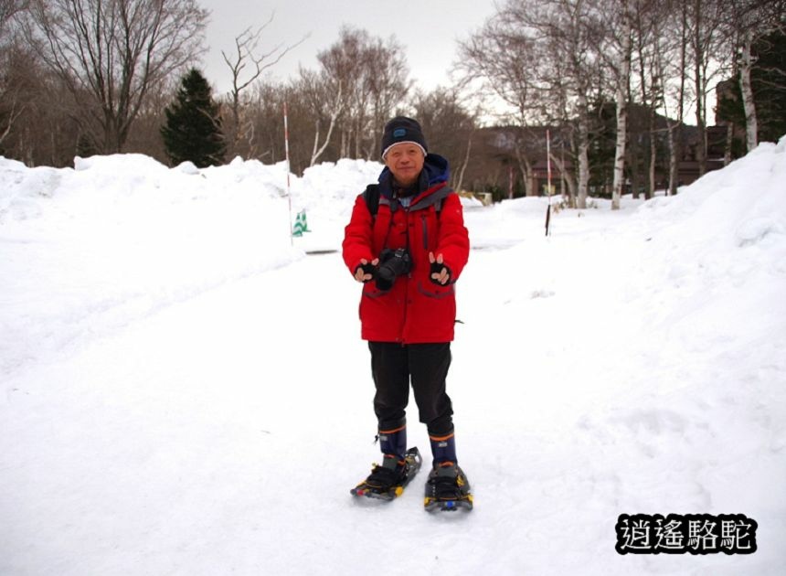 知床雪鞋漫步-日本駱駝