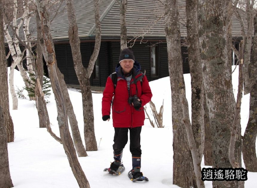 知床雪鞋漫步-日本駱駝