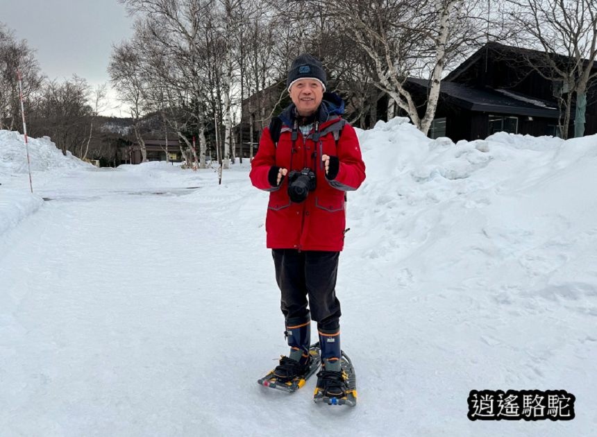 知床雪鞋漫步-日本駱駝