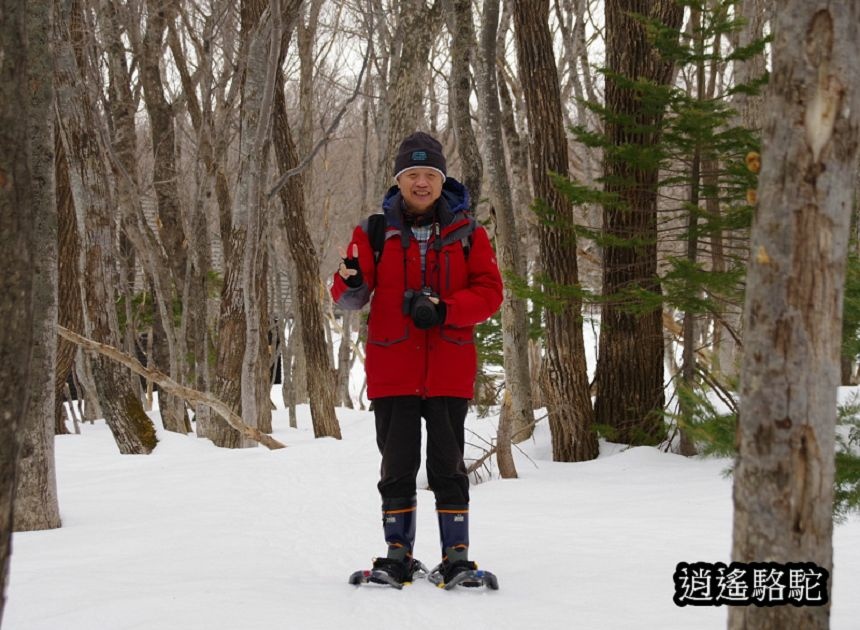 知床雪鞋漫步-日本駱駝