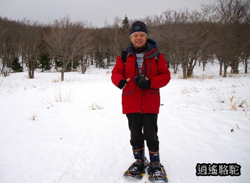 知床雪鞋漫步-日本駱駝