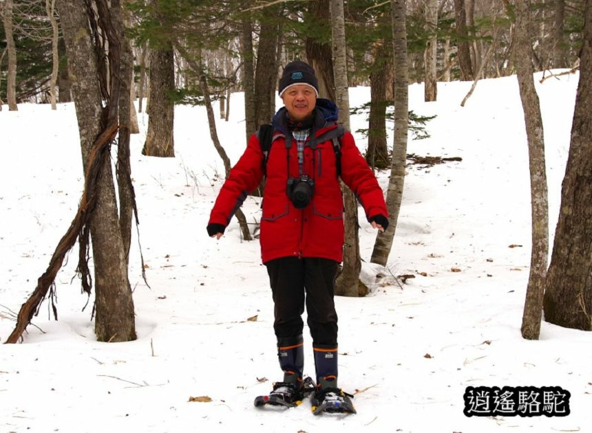 知床雪鞋漫步-日本駱駝