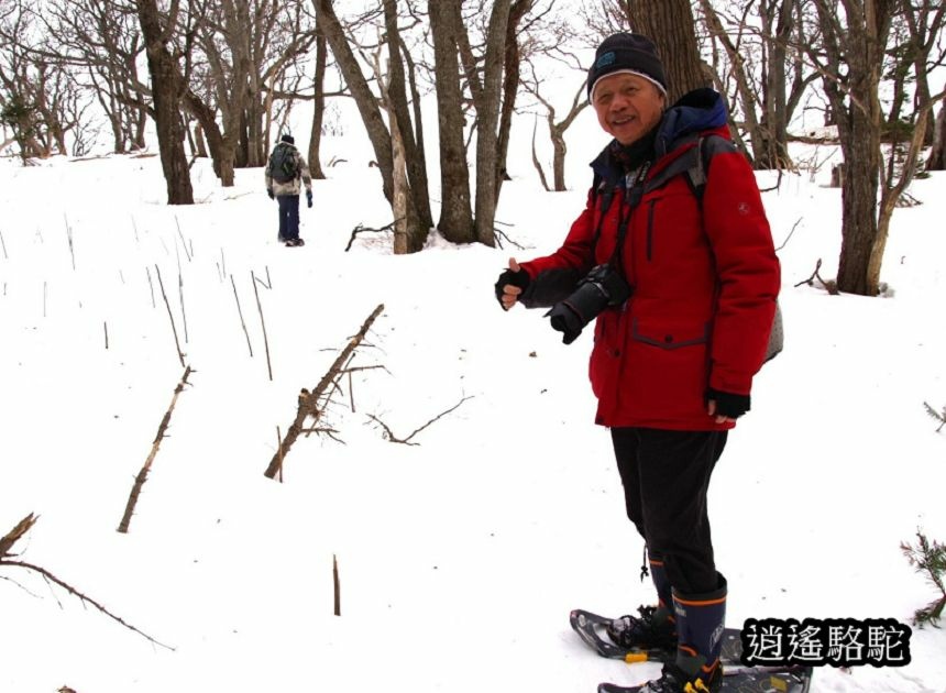 知床雪鞋漫步-日本駱駝