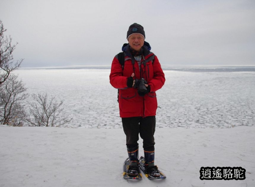 知床雪鞋漫步-日本駱駝