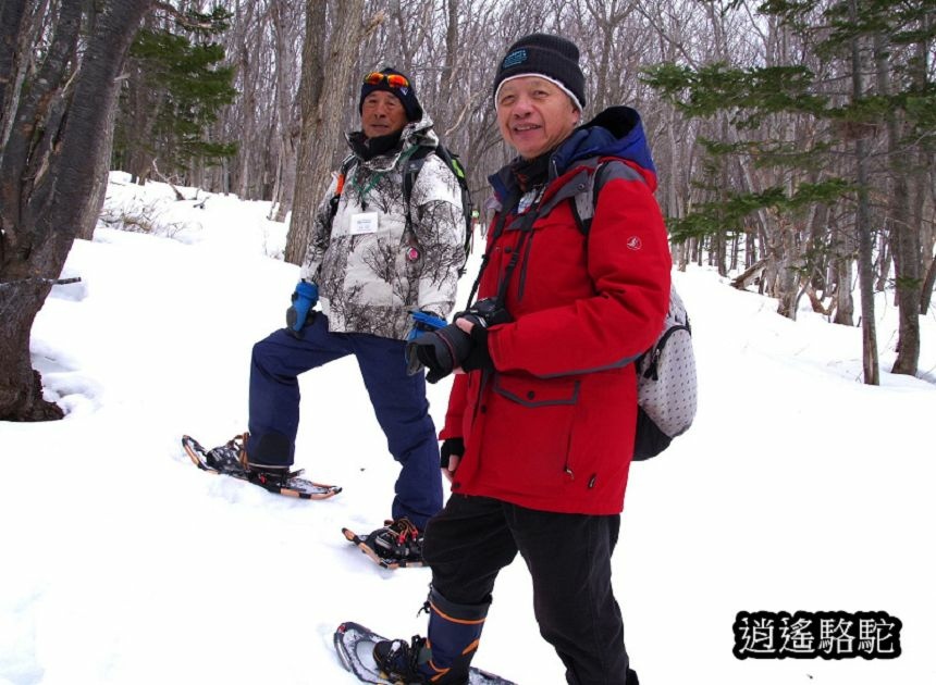 知床雪鞋漫步-日本駱駝