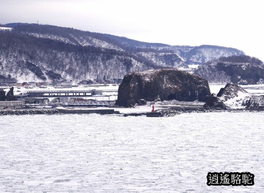 普尤尼海角(プユニ岬)-日本駱駝