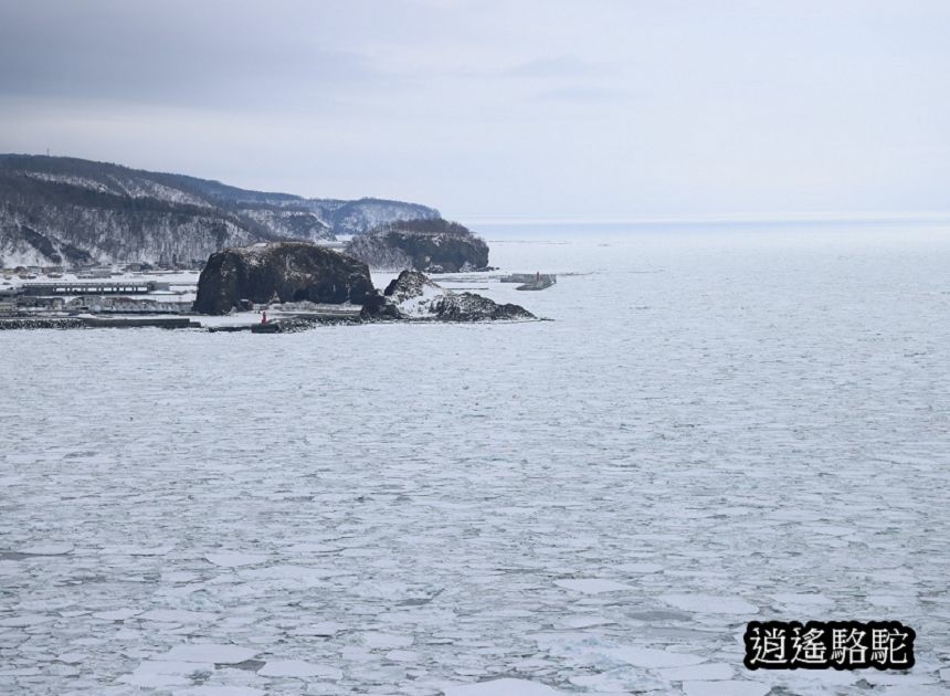 普尤尼海角(プユニ岬)-日本駱駝