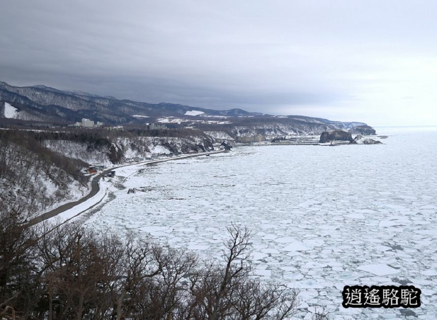 普尤尼海角(プユニ岬)-日本駱駝