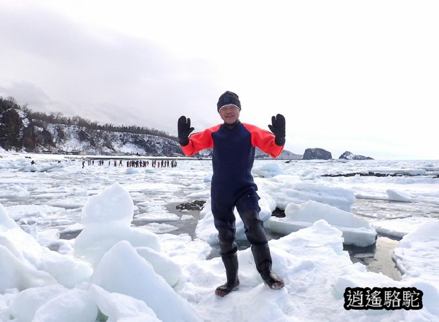 流冰漫步寫真-日本駱駝