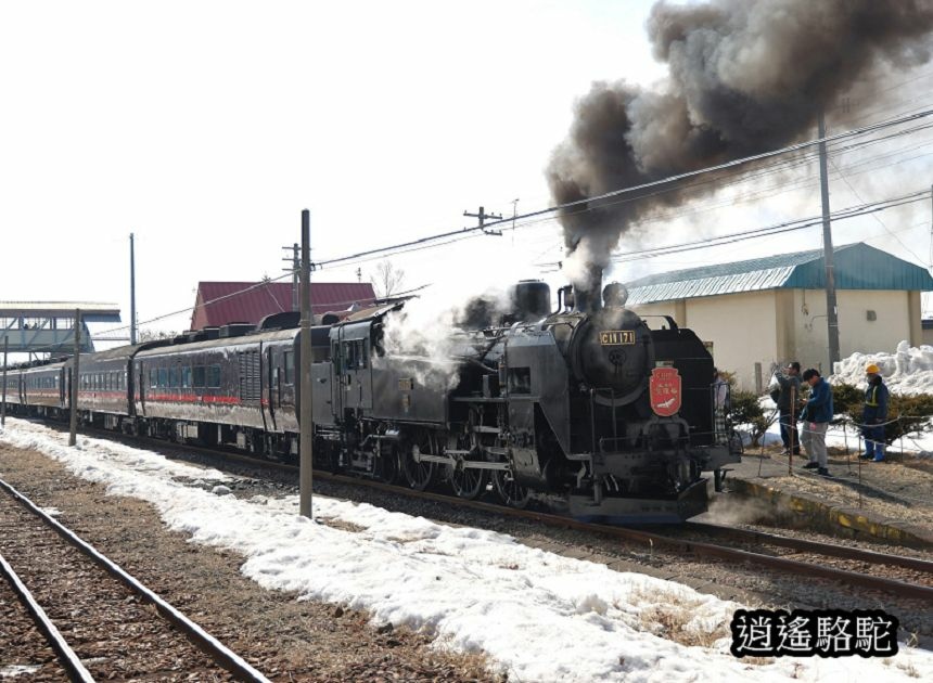 知床-→標茶-日本駱駝