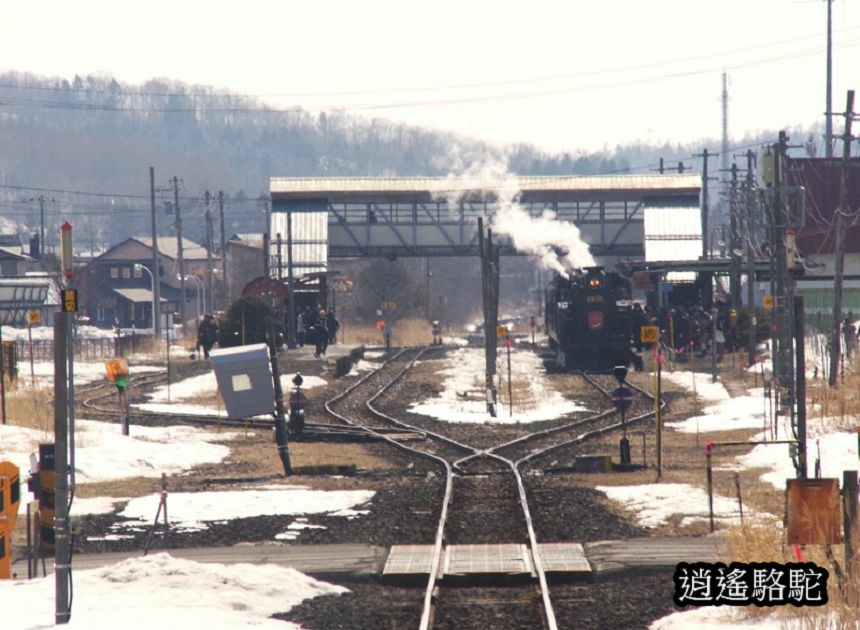 知床-→標茶-日本駱駝