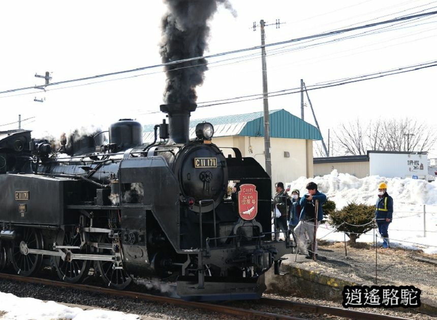 知床-→標茶-日本駱駝