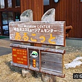 P01.jpg