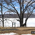 P20.jpg