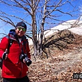P30.jpg