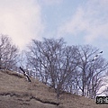 P26.jpg