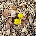 P35.jpg