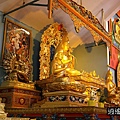 P20.jpg