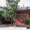 P31.jpg