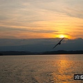 P03.jpg