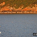 P13.jpg