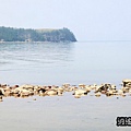 P13.jpg